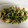 ますchan's cooksnap of when they made 割干し大根と野菜のはりはり漬け風.