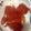 クックJAQ6EL☆'s cooksnap of when they made ☆紅茶のゼリー☆.