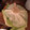 ﾌﾞﾚﾝﾀﾞ's cooksnap of when they made お得に賢く保存① レタス編.
