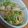 はるくんラブ's cooksnap of when they made 青臭さが消える！豆苗炒め♪.