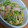 はるくんラブ's cooksnap of when they made 青臭さが消える！豆苗炒め♪.