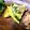 みみたろんＺ's cooksnap of when they made お豆腐と卵で★レンジでキッシュ★改良版.