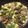 オールボン's cooksnap of when they made 1人暮らし向け！牛肉と野菜の甘辛炒め.