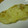 しょうげんめぐみ's cooksnap of when they made 長芋・卵のふわっとろオムレツ♪.