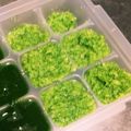 ネコたぬき's cooksnap of when they made 離乳食初期　レンジで簡単ブロッコリー.