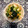 クックCZSNZN☆'s cooksnap of when they made 小松菜と豚肉の醤油炒め.