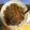 yokorin624's cooksnap of when they made 大根の豚挽肉あんかけ炒め煮.