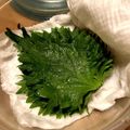 暴走インコ's cooksnap of when they made ▼大葉の保存▼.