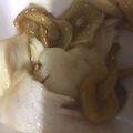 ma___111's cooksnap of when they made 鶏胸肉となめこの醤油みりん酒昆布茶炒め.