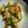 M130018's cooksnap of when they made あまり野菜のオイスターソース炒め.
