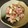 ☆やすちゃん☆'s cooksnap of when they made エリンギとベーコンのクレイジーソルト炒め.