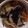 ルルルるか☆'s cooksnap of when they made 【簡単!あと一品!】ひじきの煮物.