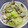 クックIK984Z☆'s cooksnap of when they made レンジで簡単♪あさりとキャベツの酒蒸し.