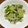 sunnnnny's cooksnap of when they made さっぱりナムル.