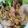 クックOYTSP1☆'s cooksnap of when they made 学食で大人気★さくさく豚タツタ.
