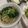 みゆwaco 's cooksnap of when they made もやしのしょうが入り中華スープ.