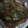 ニャ〜子♪'s cooksnap of when they made 懐かしの給食　さんまのホイル焼き.