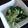 さぁ★たぁ★'s cooksnap of when they made 塩昆布で水菜のナムル.