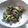 tanchamee's cooksnap of when they made オイニンチンゲン菜炒め.