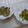 lovepuffy8's cooksnap of when they made アボカドと生ハムの和風おかかサラダ.