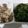 aizi0205's cooksnap of when they made そうめんの具材.