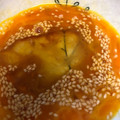 reico91's cooksnap of when they made *おうちで簡単☆かまたまうどん*.
