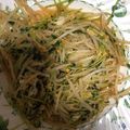 にむばすしゅたーぜん's cooksnap of when they made もやしと豆苗と卵の醤油マヨ炒め◆.