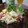 ダイナマイト漆黒's cooksnap of when they made タイ風★目玉焼きと野菜のサラダ.