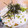 ぷぷにわ's cooksnap of when they made 夏バテ解消☀冷やしうどんのとろろかけ.