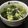 せきじゅんいち's cooksnap of when they made 簡単中華スープ☆.