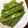 卵せんべい's cooksnap of when they made きぬさやのナムル.