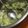 ゆうきいた's cooksnap of when they made 材料4つ♪簡単旨い！ねぎ塩ダレ.