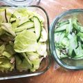 ぷぅたろうざむらい's cooksnap of when they made 簡単【キャベツと胡瓜の手揉みナムル】.
