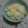 クックZD3CWA☆'s cooksnap of when they made とうもろこしご飯.