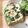 __sio__'s cooksnap of when they made アボカドの塩昆布チーズトースト.
