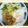 黒須 遥's cooksnap of when they made ボリューム満点❤豚と白菜の艶うどん.