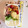 ふせとも's cooksnap of when they made たい焼きみたいな卵焼き♪お弁当に大人気♪.