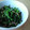 べびたんちびたん's cooksnap of when they made 焼さけあらほぐしとほうれん草の味噌マヨ★.