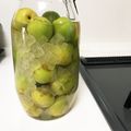 ホウキボウシ's cooksnap of when they made 【夏にオススメ】簡単 梅シロップ.