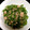 オイゼビウス's cooksnap of when they made ５分で完成！ ピーマンとツナの和え物.