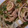 saki1010's cooksnap of when they made 白菜と豚肉の八宝菜風　.