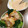 あいすくりんすき's cooksnap of when they made 簡単♪エビマヨソース.