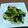 tkskkc's cooksnap of when they made おかん直伝・小松菜の煮浸し.