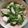 クック1FX93J☆'s cooksnap of when they made 生姜たっぷりで、キュウリとささみの酢の物.