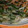 ゆうきいた's cooksnap of when they made 簡単で美味しい♪栄養満点な野菜炒め♡.