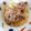 みゃじま's cooksnap of when they made 逆！たまご納豆ごはん＊.