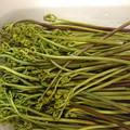☆momomama☆'s cooksnap of when they made 簡単放置！わらびのアク抜き.