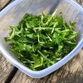 レイディー００００１'s cooksnap of when they made 水菜サラダのごま油和え.