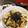 Ｑuacky's cooksnap of when they made ちくわと玉ねぎ丼.