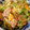 ☆あんこドーナツ☆'s cooksnap of when they made 【鶏胸肉とレタスのウスターマヨ炒め】.
